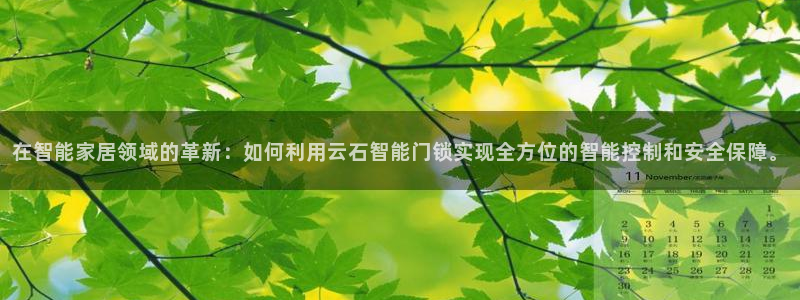 利记体育手机版官网：在智能家居领域的革新：如何利用云石智能门