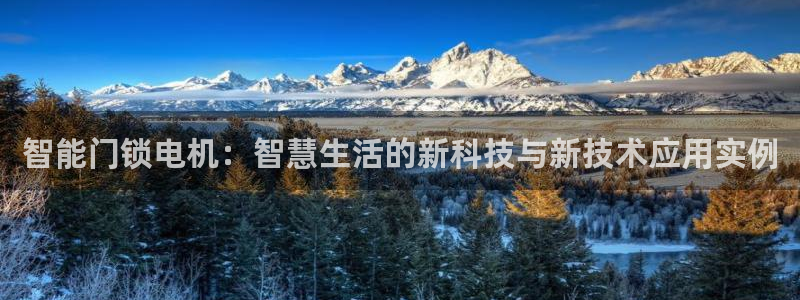 利记官网行业领导者：智能门锁电机：智慧生活的新科技与新技术应