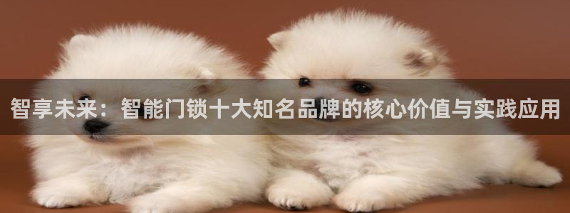 利记国际官网：智享未来：智能门锁十大知名品牌的核心价值与实践
