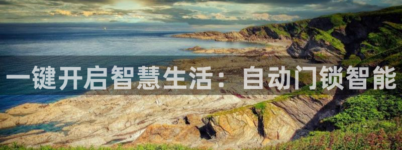 铂利记旗舰店官网：一键开启智慧生活：自动门锁智能