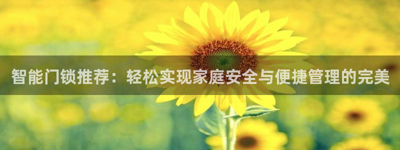 利记官网是什么：智能门锁推荐：轻松实现家庭安全与便捷管理的完