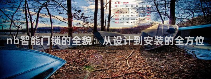利记官网会员登录：nb智能门锁的全貌：从设计到安装的全方位