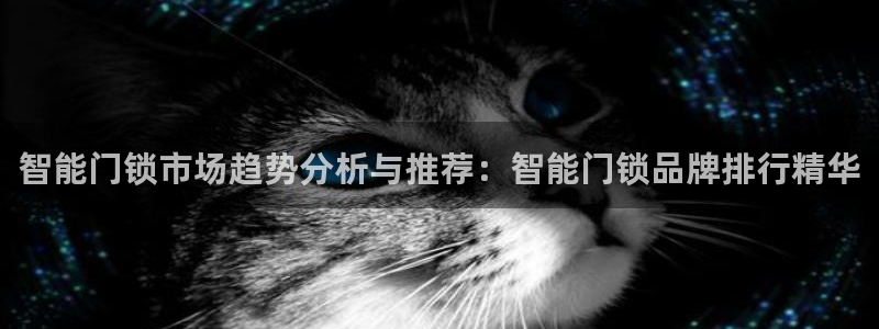 利记真的官网：智能门锁市场趋势分析与推荐：智能门锁品牌排行精