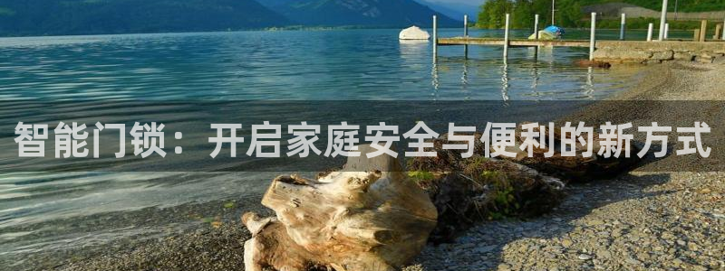 利记网址注册官网：智能门锁：开启家庭安全与便利的新方式