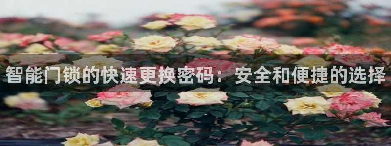 香港利记lee kee集团官网：智能门锁的快速更换密码：安全