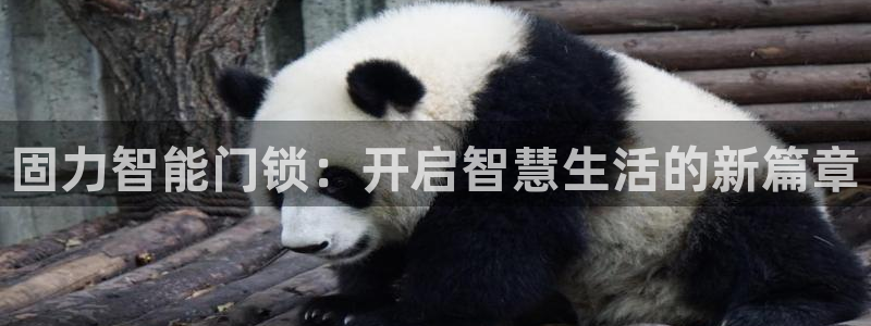 利记体育官网地址：固力智能门锁：开启智慧生活的新篇章