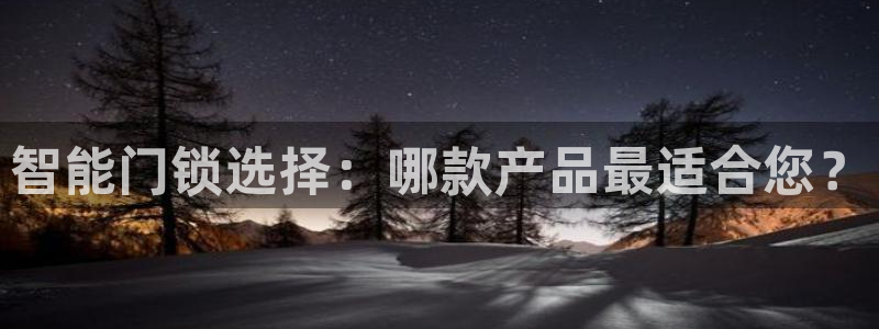 利记bet官网登录入口：智能门锁选择：哪款产品最适合您？