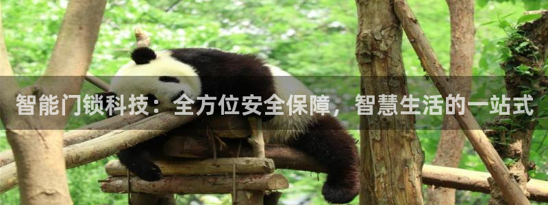 利记平台官网：智能门锁科技：全方位安全保障，智慧生活的一站式