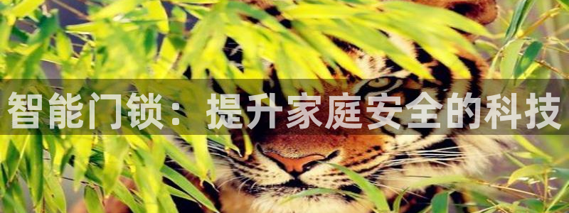 利记官网香菜1：智能门锁：提升家庭安全的科技