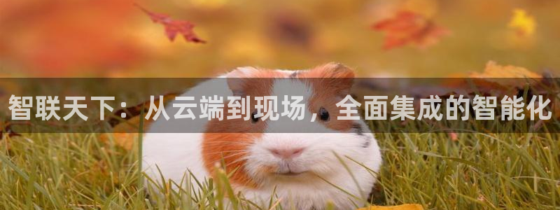 利记官网开户：智联天下：从云端到现场，全面集成的智能化